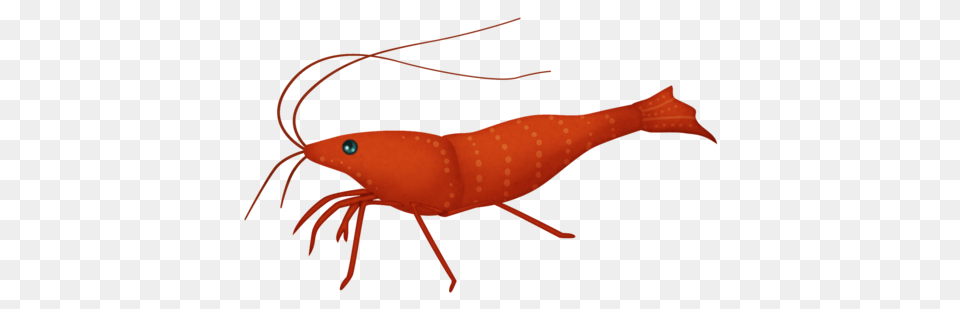 Mlfef Shrimp Aquatic Clipart Scrap And Album, Animal, Food, Invertebrate, Sea Life Free Png Download