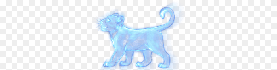 Mlg Airhorn, Person, Animal, Sea Life Free Transparent Png