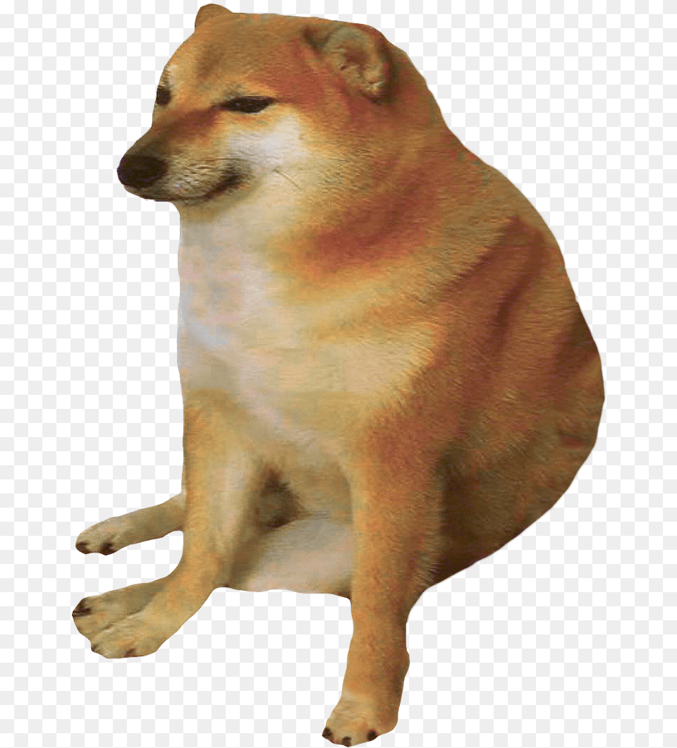 Mlg Illuminati, Animal, Canine, Dog, Mammal Png