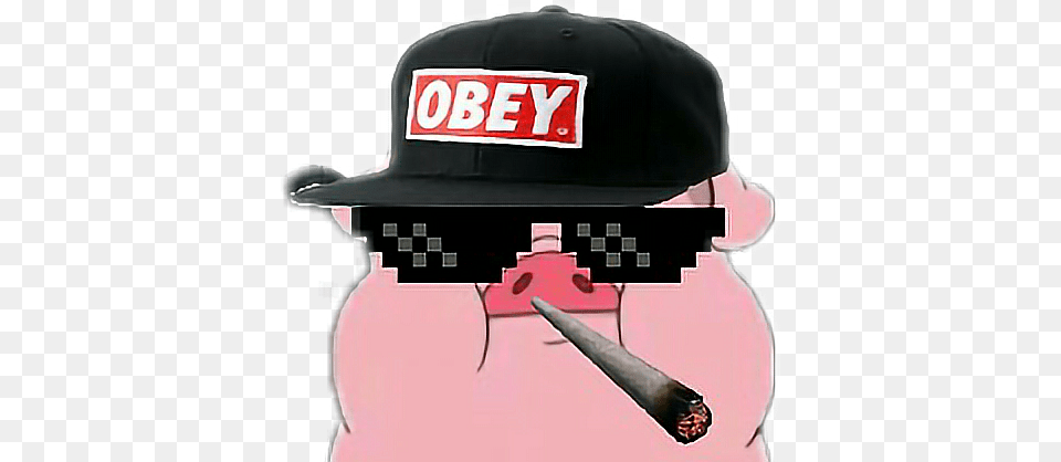 Mlg Obey Mem Meme Sunglasses, Person, People, Baseball Cap, Cap Free Png