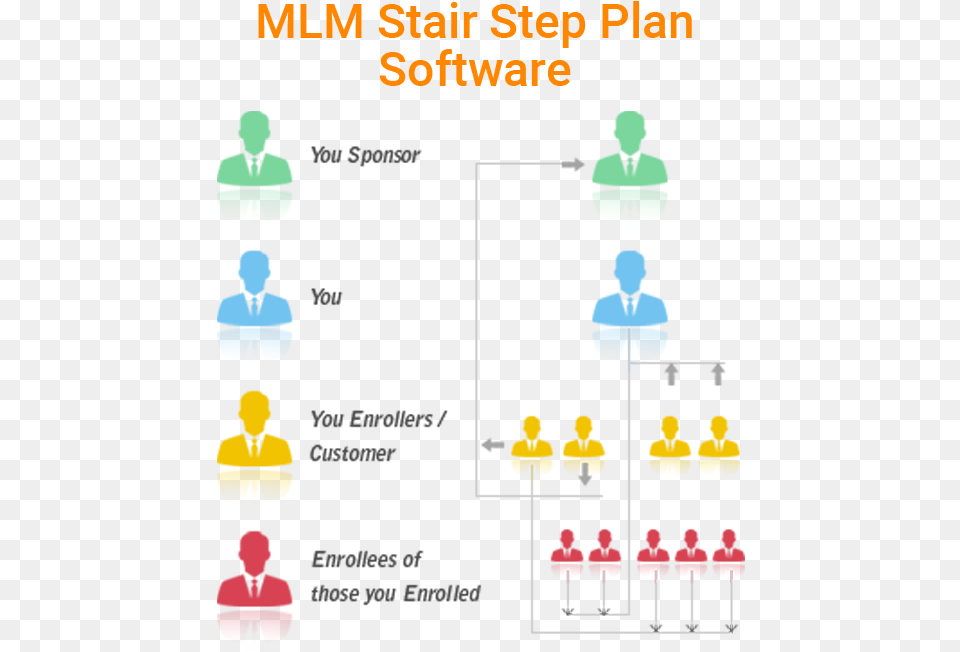 Mlm Step Diagram, Baby, Person, Adult, Male Png Image