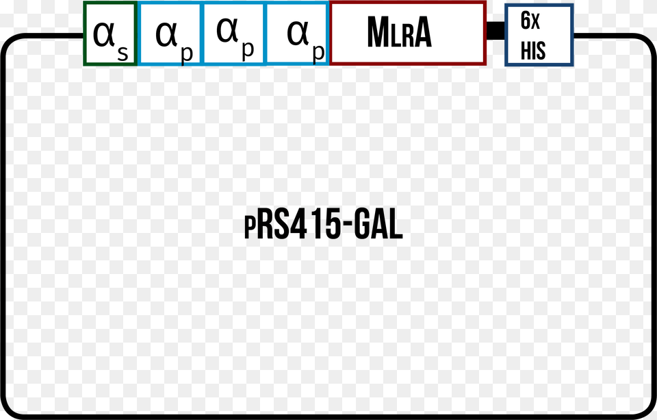 Mlra With The Secretion Signal From Mating Factor Number, Text, Scoreboard, Symbol Png Image