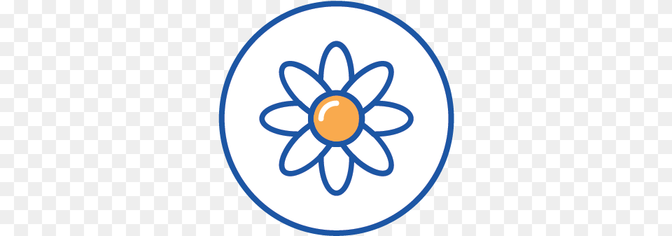 Mm Circle Flower Outline Transparent Background, Daisy, Plant, Anemone, Outdoors Png