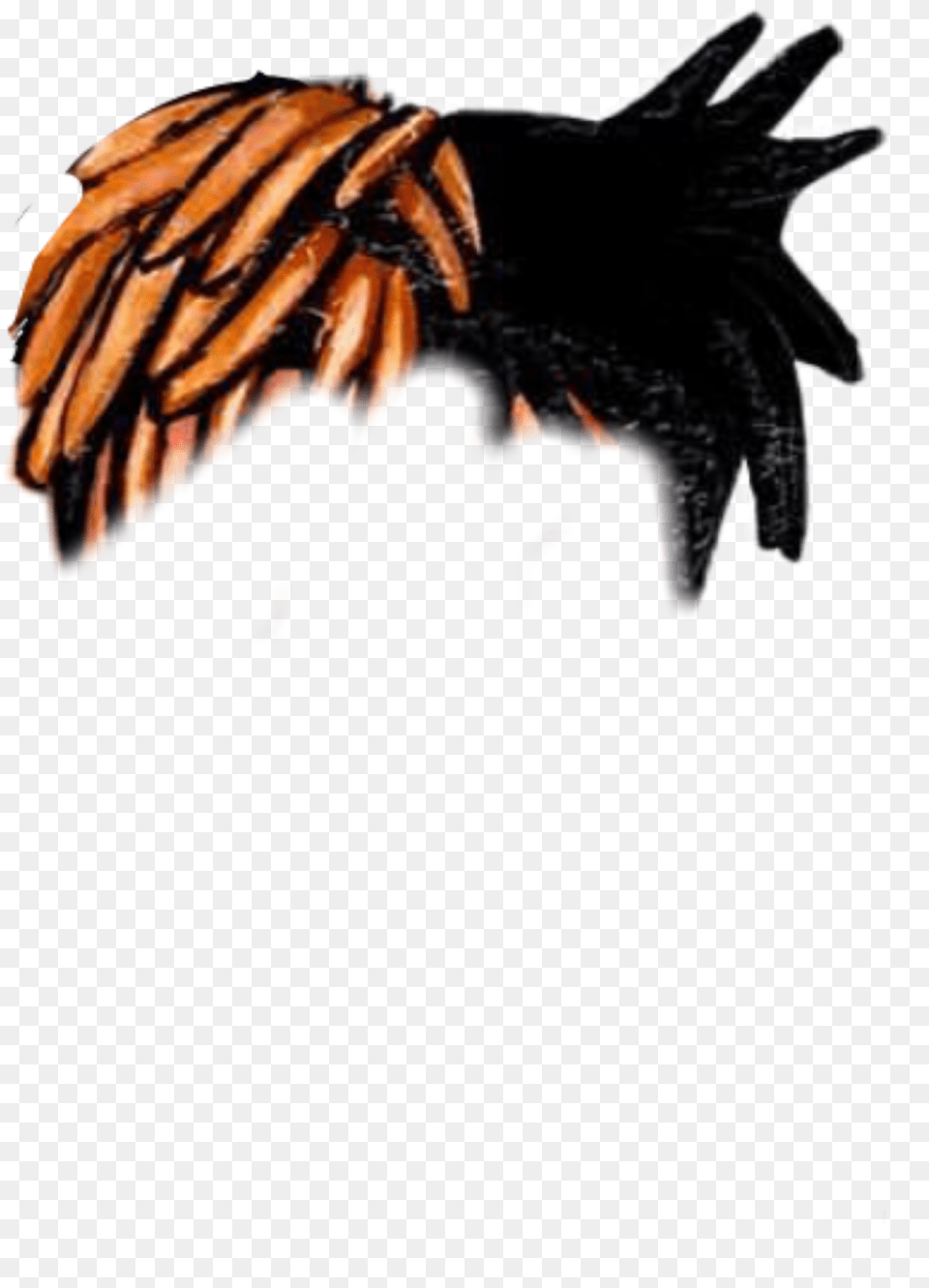 Mm Insect, Electronics, Hardware, Person Png