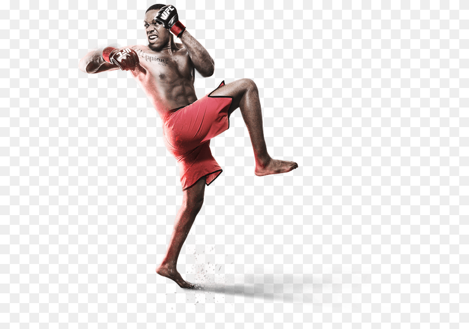 Mma, Adult, Person, Man, Male Png Image