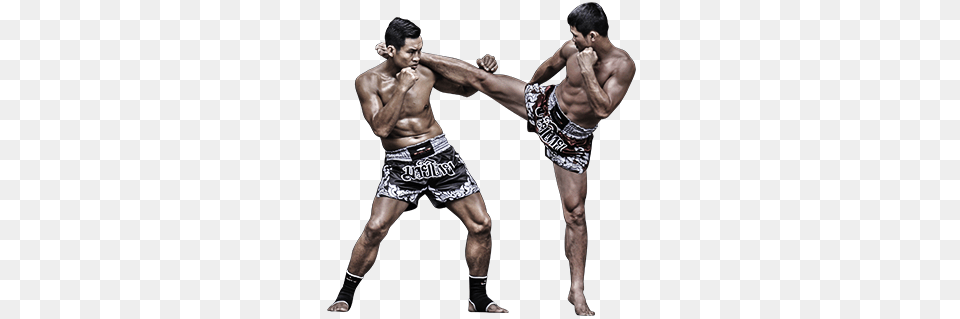 Mma, Adult, Male, Man, Person Free Transparent Png