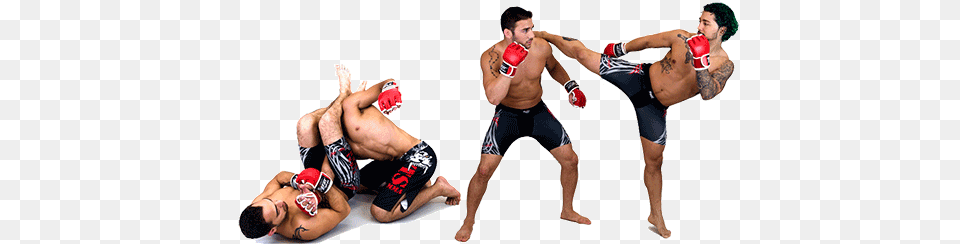 Mma, Adult, Baby, Male, Man Free Transparent Png