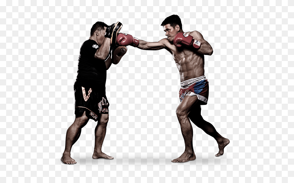 Mma, Adult, Male, Man, Person Free Png Download