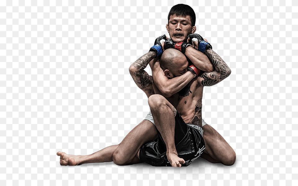 Mma, Adult, Male, Man, Person Free Transparent Png