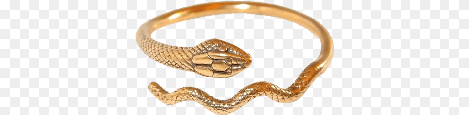 Mma Snake Bracelet Size Large With Details From King Bracelet, Accessories, Animal, Jewelry, Reptile Png