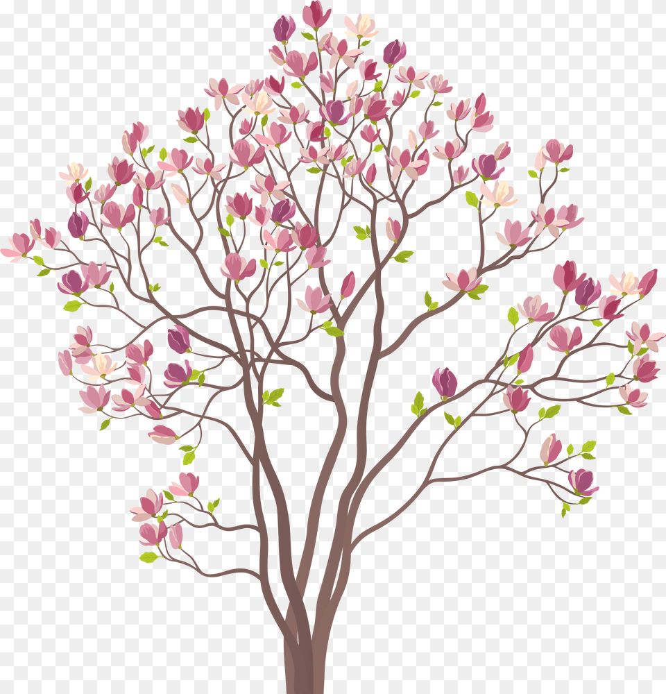 Mmagnolia Tree Clip Art Image Cartoon, Plant, Flower Free Png