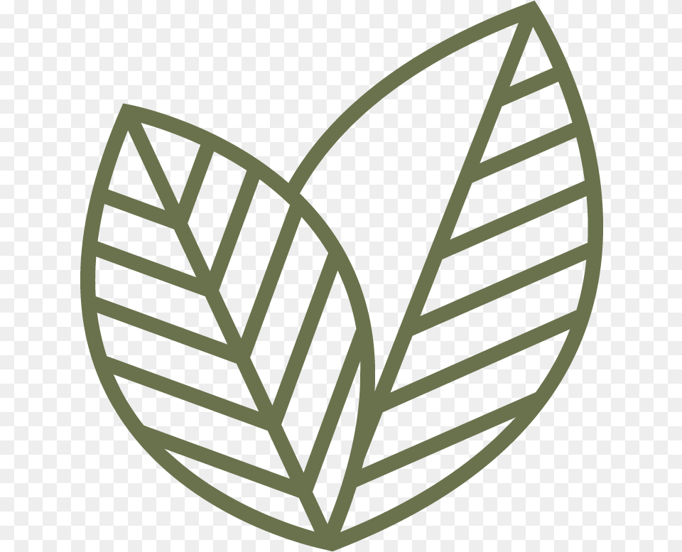 Mnt Logo Leaves Line Art, Leaf, Plant Png Image