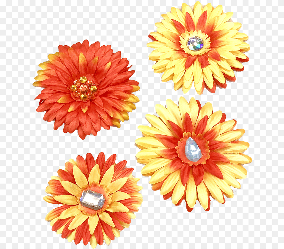 Moana Clip Art Pink Tropical Flower Lovely, Accessories, Dahlia, Daisy, Plant Free Png