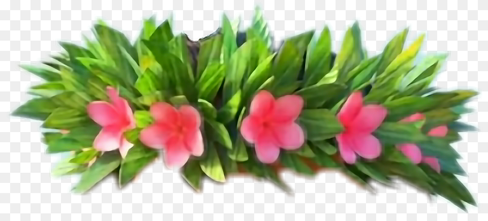 Moana Clipart Flower Crown Moana Flower Crown, Plant, Flower Bouquet, Flower Arrangement, Petal Free Png Download