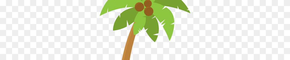 Moana Clipart Tree, Plant, Palm Tree, Leaf Png Image