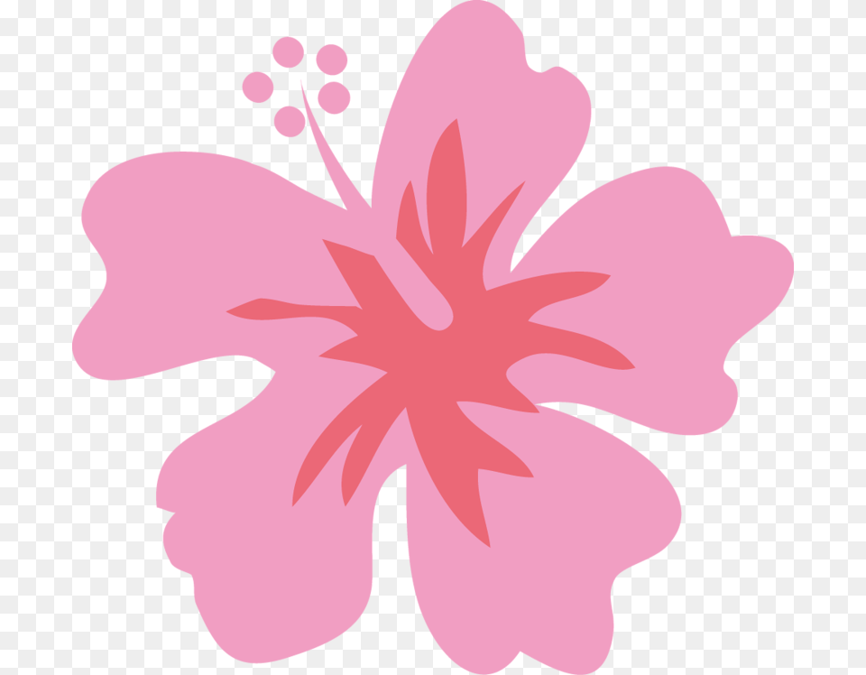 Moana Flower Flor Moana, Plant, Hibiscus, Person Png Image