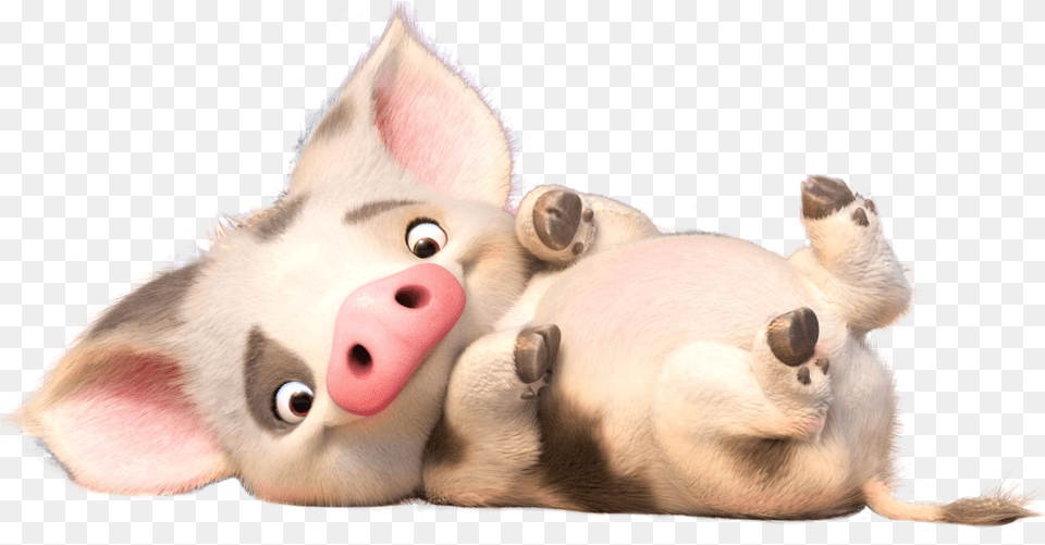 Moana Images Clipart Pua Moana, Animal, Mammal, Pig, Cat Free Transparent Png