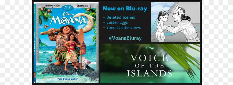 Moana On Bluray Walt Disney Moana Blu Ray Dvd Combo Set, Publication, Book, Comics, Adult Free Png Download