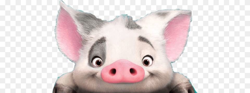 Moana Transparent Pig Disney Moana Happy Easter, Animal, Mammal, Snout, Bear Png