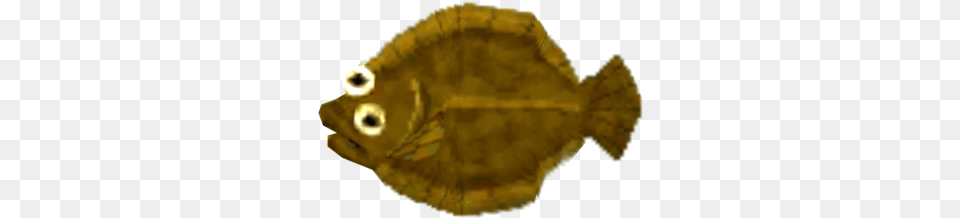 Mobile Animal Crossing Pocket Camp Olive Flounder The Sole, Sea Life, Fish, Halibut, Astronomy Free Transparent Png