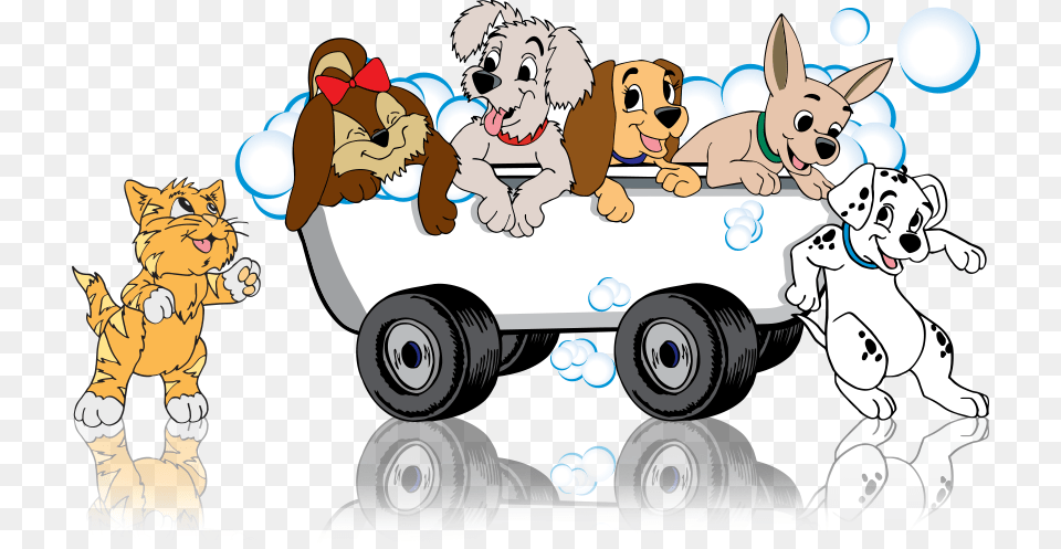 Mobile Dog Grooming Clipart, Book, Comics, Publication, Face Png Image