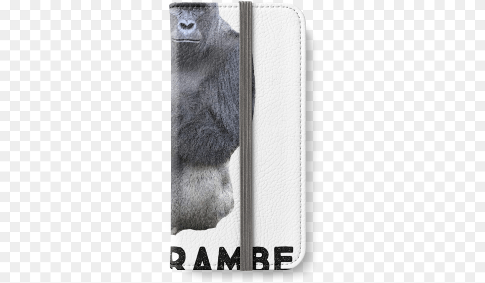 Mobile Phone, Animal, Ape, Mammal, Wildlife Png