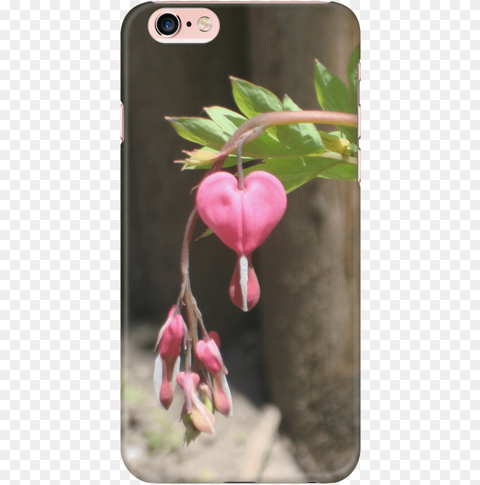 Mobile Phone Case, Flower, Plant, Animal, Bird Png Image