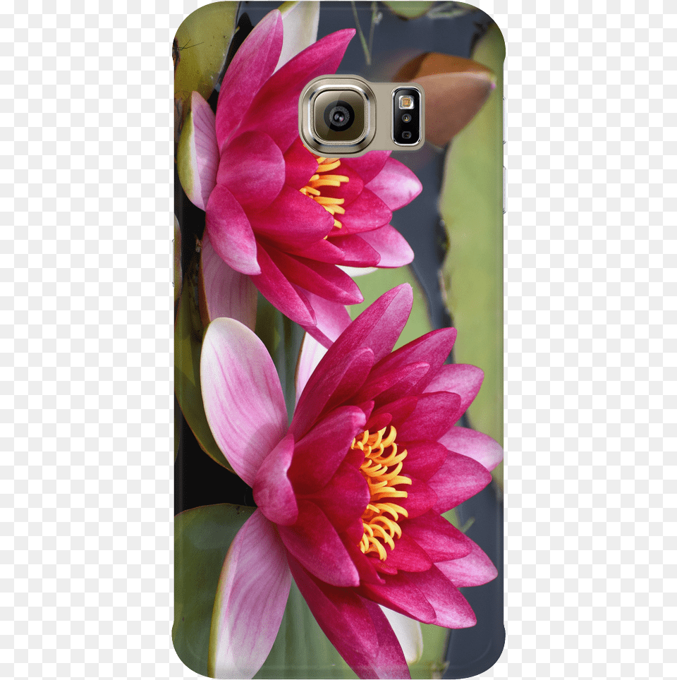 Mobile Phone Case, Flower, Plant, Electronics, Mobile Phone Png Image