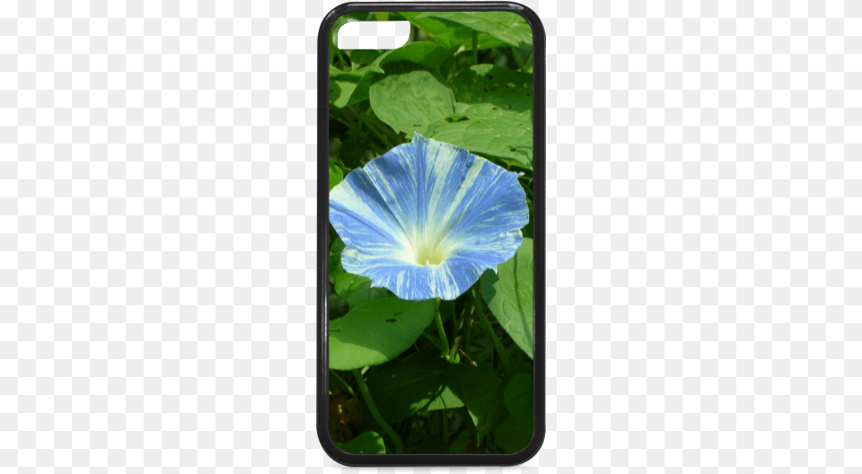 Mobile Phone Case, Flower, Geranium, Petal, Plant Free Png Download
