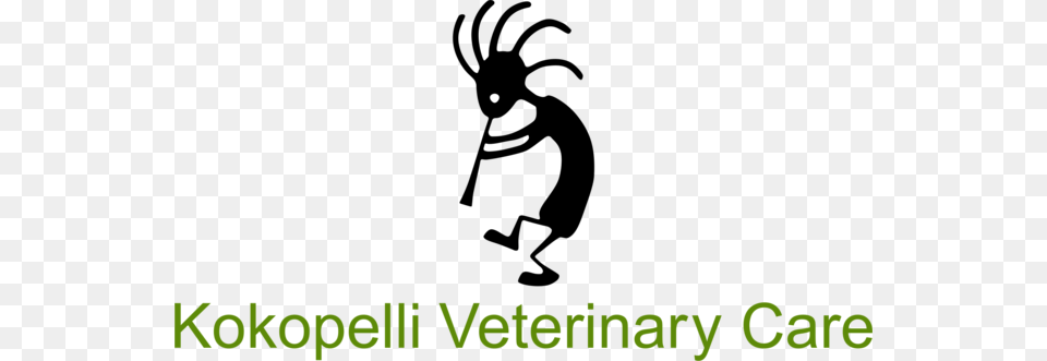 Mobile Veterinarian Serving Edgewood And Surrounding Data Quality, Green, Grass, Plant, Text Free Transparent Png