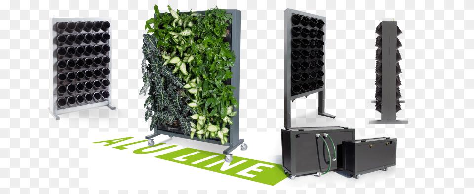 Mobile Walls Equipped With An Integrated Irrigation Systemy Zielonych, Jar, Plant, Planter, Potted Plant Free Png