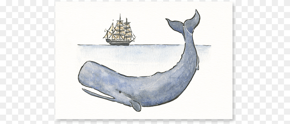 Moby Dick Post Card Humpback Whale, Art, Boat, Vehicle, Transportation Free Transparent Png