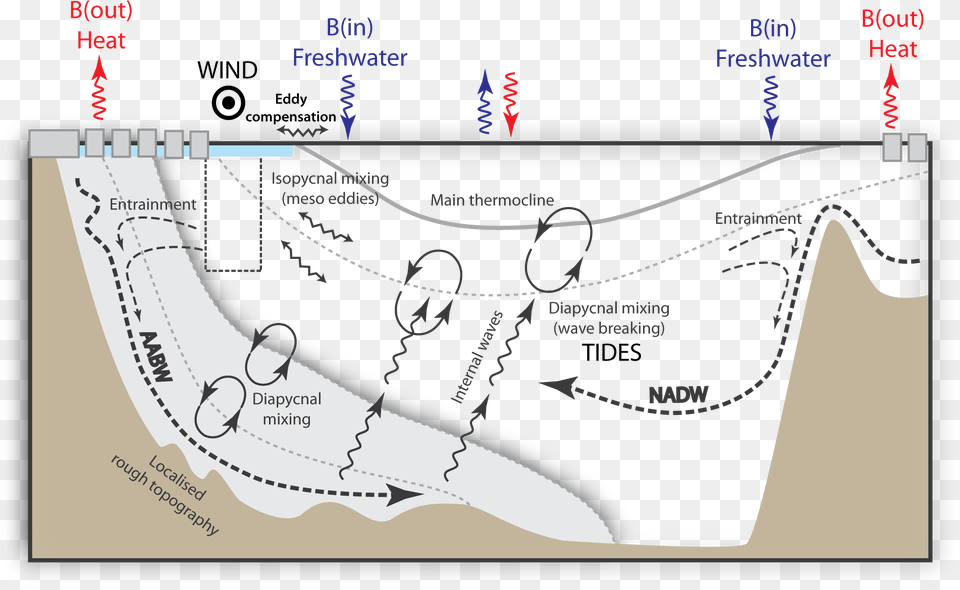 Moc Drivers Cartoon Carbon Isotopes Ocean Circulation, Chart, Plot, Diagram, Plan Free Png