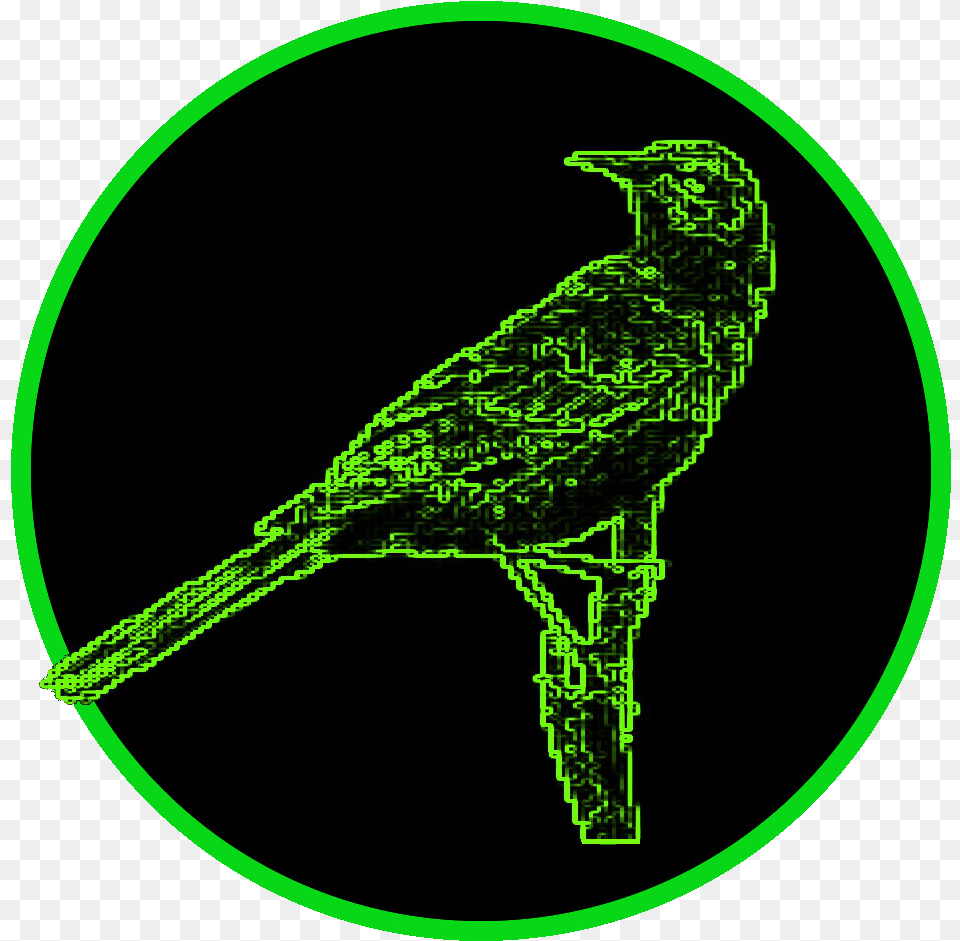 Mockingbird Bird, Animal, Blackbird, Anthus, Green Free Png