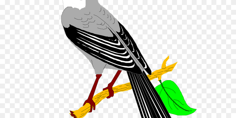 Mockingbird Clipart, Person, Animal, Bird, Finch Free Transparent Png