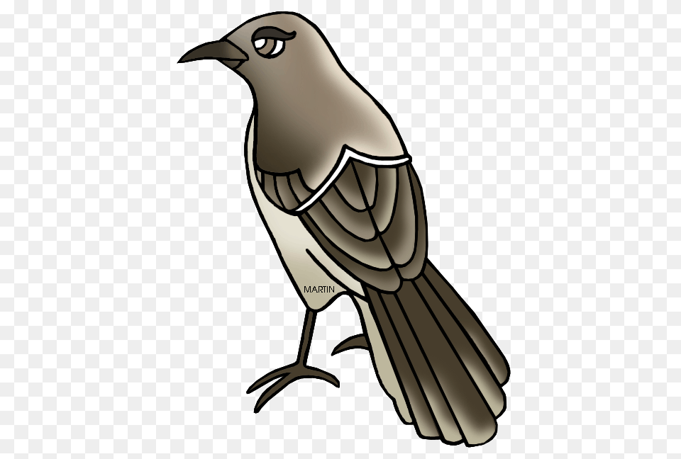Mockingbird Clipart, Animal, Bird, Blackbird, Jay Free Png