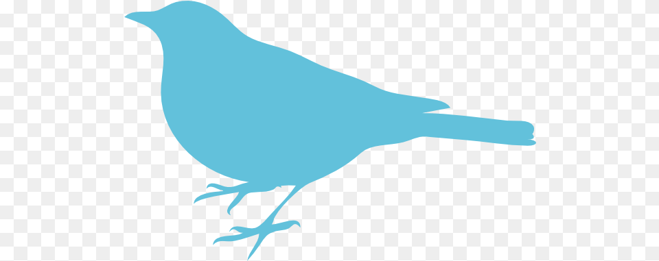 Mockingbird Clipart 4 Bird Silhouette Clip Art, Animal, Blackbird, Jay, Finch Free Png