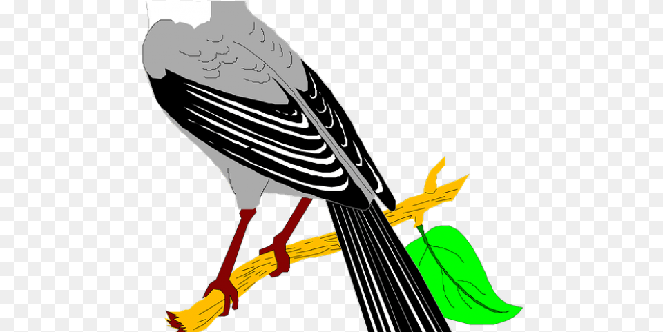 Mockingbird Clipart Quail Mocking Birds Clip Art, Person, Animal, Bird, Magpie Png