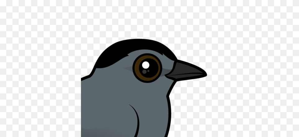 Mockingbird Clipart Rook, Animal, Beak, Bird, Blackbird Png Image