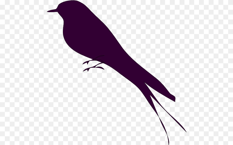 Mockingbird Clipart Small Bir Bird Silhouette, Animal, Blackbird Png