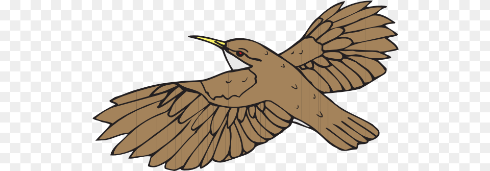 Mockingbird Flying Clipart Brown Bird Flying Clipart, Animal, Beak, Fish, Sea Life Free Png Download