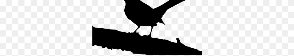 Mockingbird Mockingbird Silhouette, Gray Free Png Download