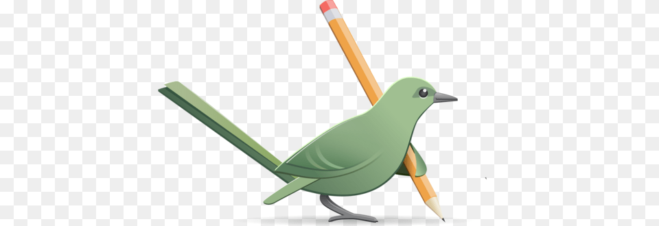Mockingbird On Twitter New Feature Export To Pdf Or Http, Animal, Beak, Bird, Finch Free Transparent Png