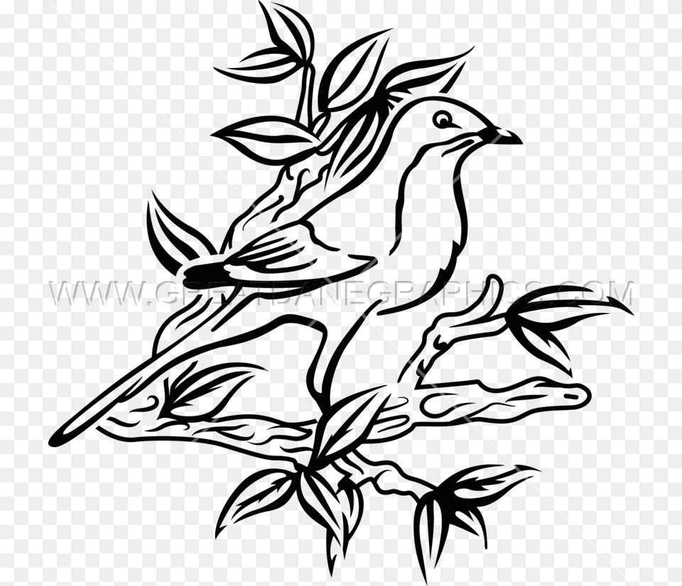Mockingbird Production Ready Artwork For T Shirt Printing, Animal, Bird, Finch, Jay Free Png Download