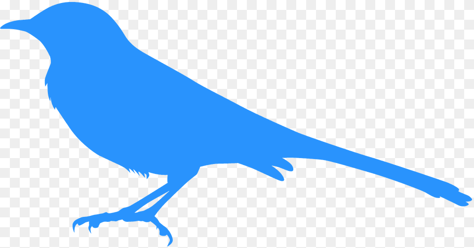 Mockingbird Silhouette, Animal, Bird, Jay, Fish Png Image