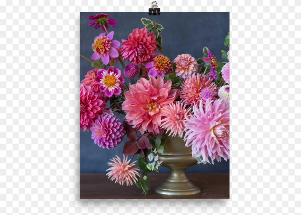 Mockup Barberton Daisy, Dahlia, Flower, Flower Arrangement, Flower Bouquet Free Transparent Png
