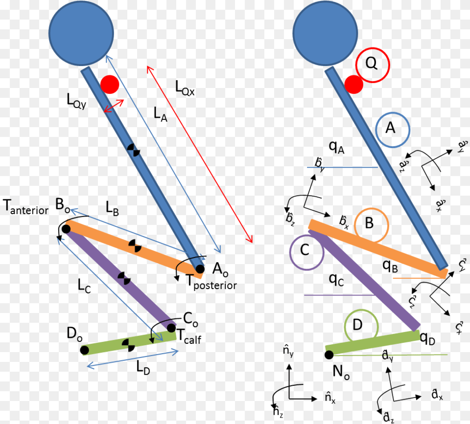 Model Free Transparent Png