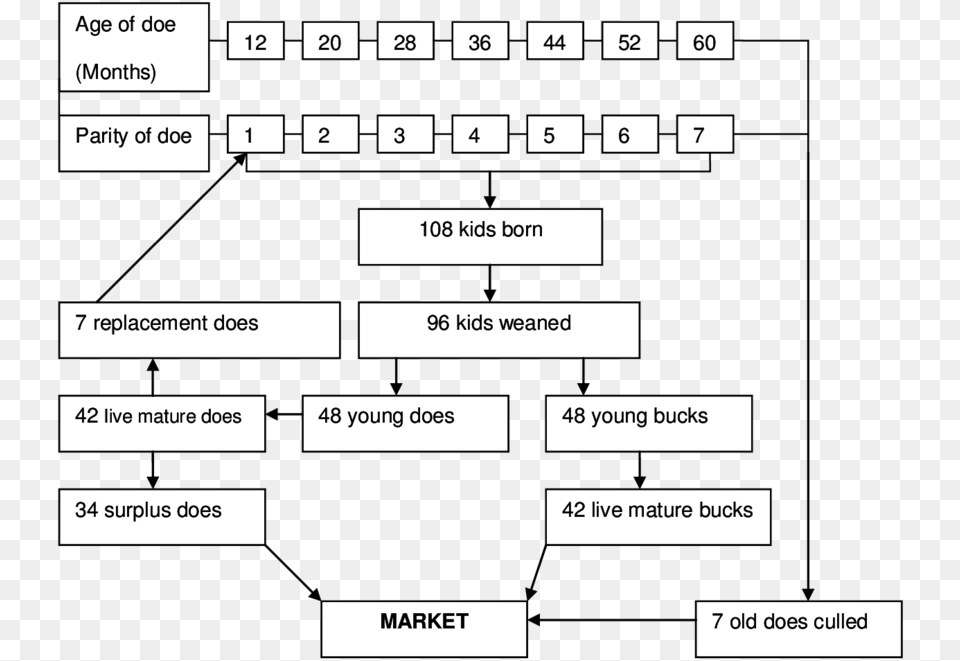 Model Flow Diagram For 4 Does And Their Offspring Derived Diagram, Text Png Image