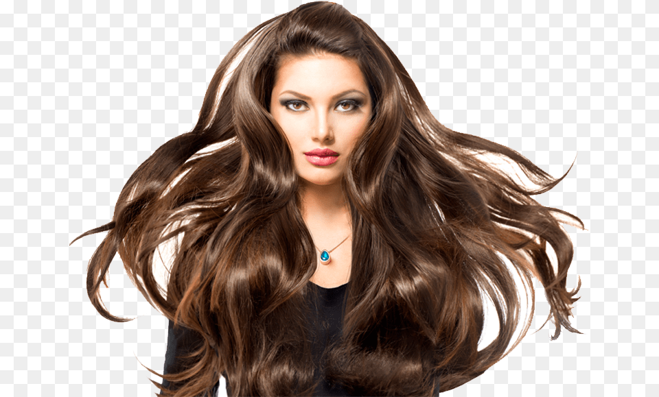 Model Hair Banner Library Stock Self Confidence And Hair, Adult, Female, Person, Woman Free Png