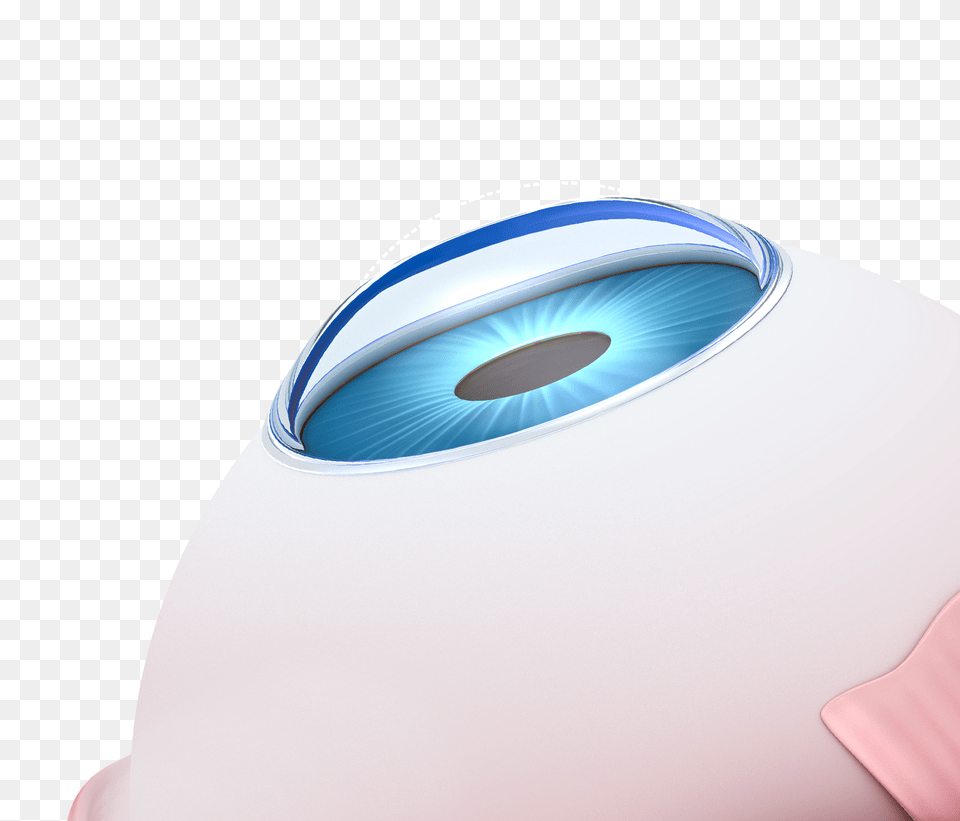 Model Of An Eye Circle Png